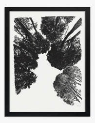 Canopy Perspective Art Print Black