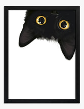 Curious Cat Peek Art Print - Black