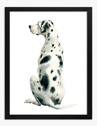 Spotted Great Dane Elegance Art Print Black