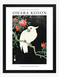 Koson Cockatoo & Pomegranate Art Print - Black
