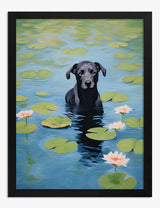 Pond Art Prints