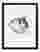 Serene Cat by Jean Bernard Art Print - Black