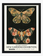 Butterfly Elegance by Morris Art Print - Black