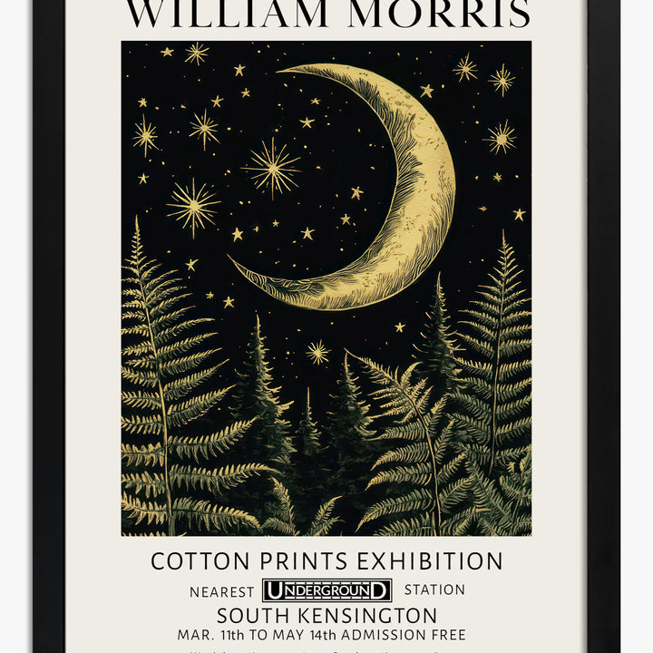 Ferns Art Prints