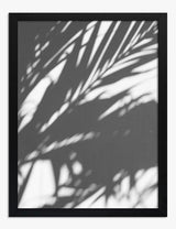 Shadows Art Prints