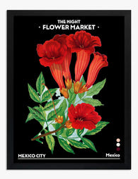 Night Bloom Mexico City Art Print - Black