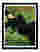 Elegant Repose Art Print Black Frame