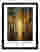 Klimts Sunlit Forest Art Print Black Frame