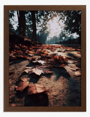 Realism Pathway Art Prints