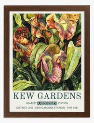 Kew Botanical Beauty Art Print - Brown
