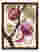 Plum Orchard Harmony Art Print - Brown