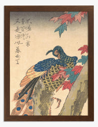 Peacock and Maple Leaves by Hiroshige Art Print Brown