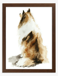 Gentle Collie Gaze Art Print Brown