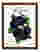 Shippers Pride Plum Art Print Brown Frame
