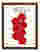 Santa Rosa Plums Art Print Brown Frame