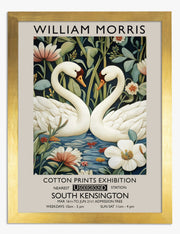 Swans Art Prints
