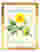 Positano Floral Delight Art Print - Gold
