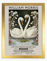 White Swan Elegance Art Print - Gold