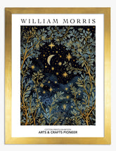 Starry Night Botanical Art Print - Gold