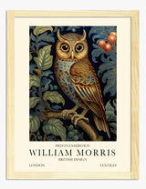 Owl Art Prints