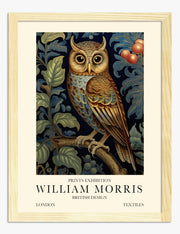 Owl Art Prints