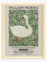 Swan Elegance by Morris Art Print - Oak