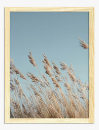 Sunlit Meadow Breeze Art Print Oak