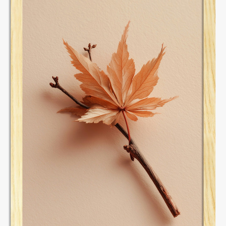 Leaf Art Prints