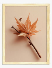 Leaf Art Prints
