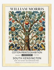 Láminas de manzanas