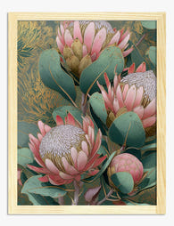 Blush Protea Botanical Art Print - Oak