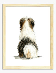 Shih Tzu from Behind Art Print Oak