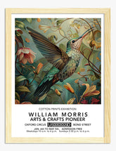 Morris Hummingbird Botanical Art Print - Oak