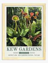 Kew Gardens Carnivores Art Print - Oak