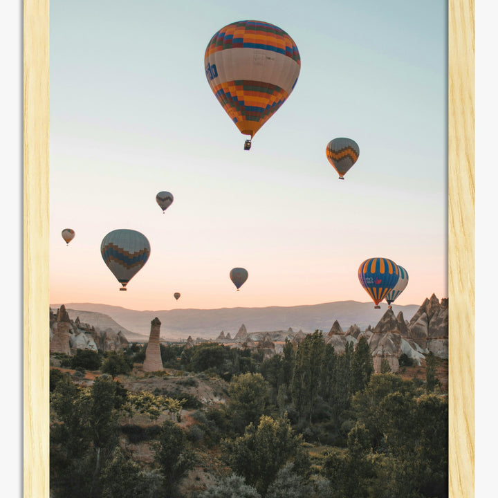 Turkey Art Prints