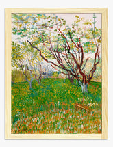 Vincents Spring Orchard Art Print - Oak