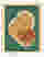 Earthy Overlap Art Print - Oak