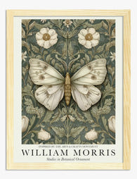 Morris Botanical Butterfly Art Print - Oak