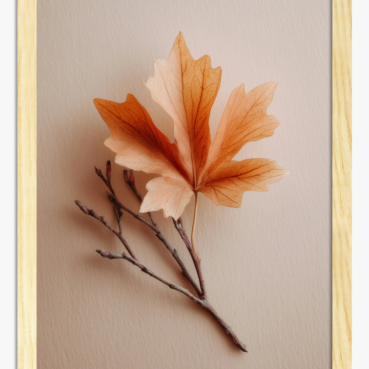 Organic Shapes Art Prints