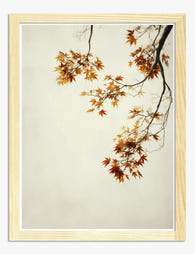 Autumn Maple Elegance Art Print - Oak