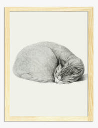 Serene Cat by Jean Bernard Art Print - Oak
