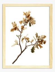 Autumn Oak Branches Art Print - Oak