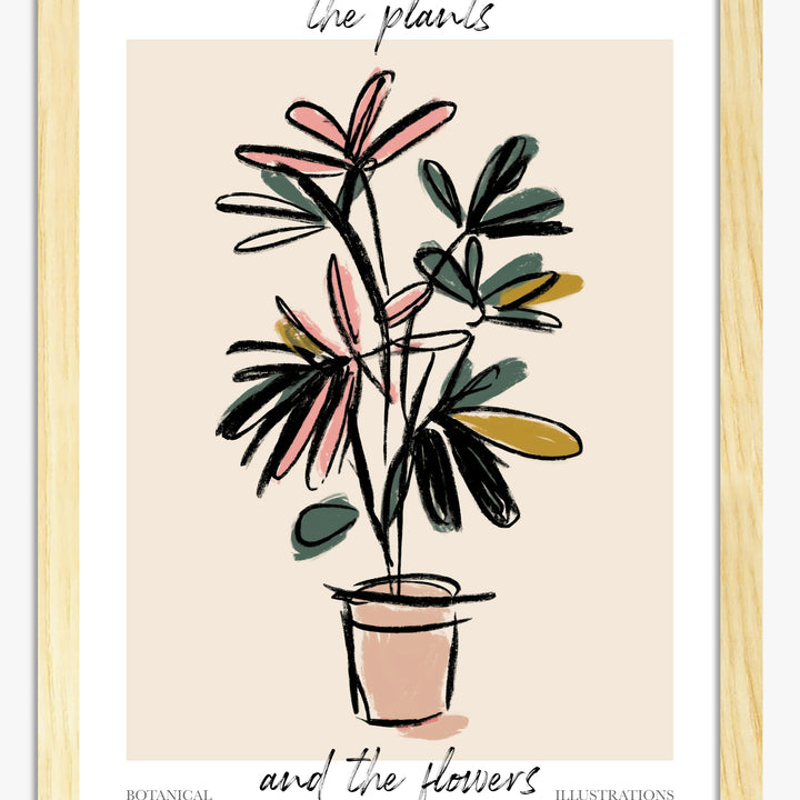 Láminas de plantas en maceta