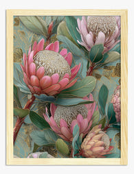 Blushing Protea Botanical Art Print - Oak