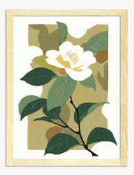 White Camellia Blossom Art Print - Oak