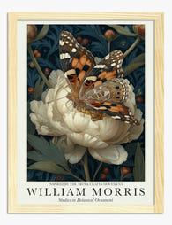 Morris Botanical Butterfly Art Print - Oak