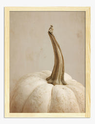Soft White Pumpkin Still Art Print - Oak