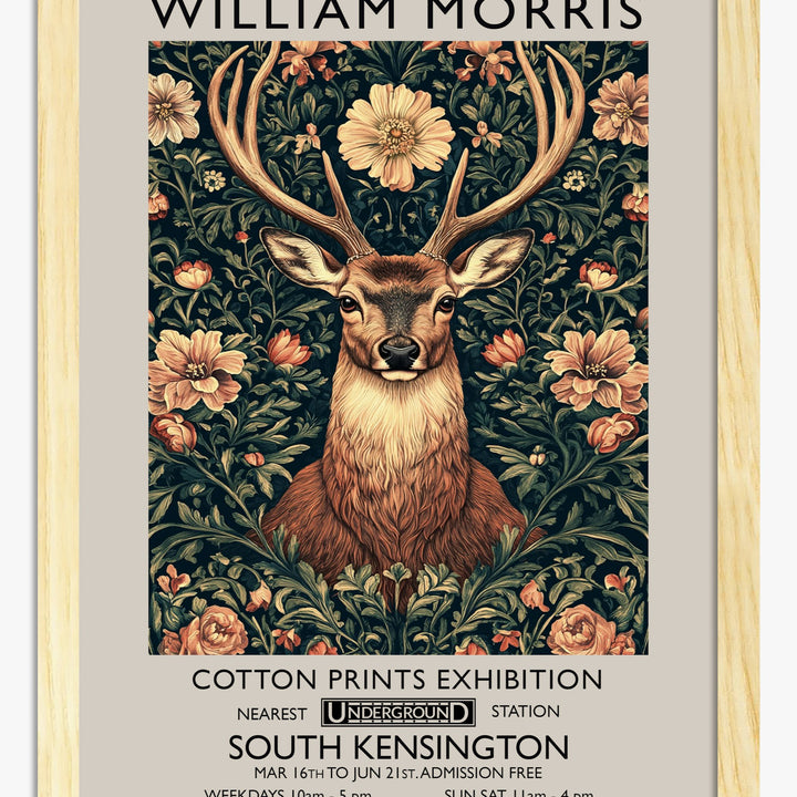 Deer Art Prints