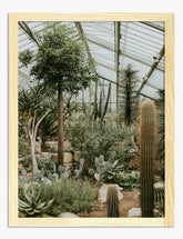 Serene Greenhouse Art Print - Oak