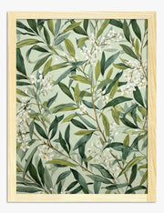 Foliage Art Prints